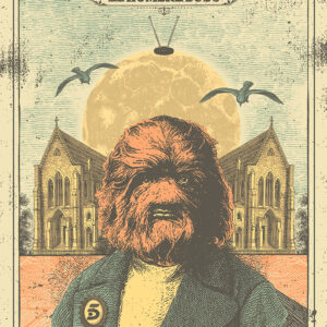 Poster Hombre Bobo
